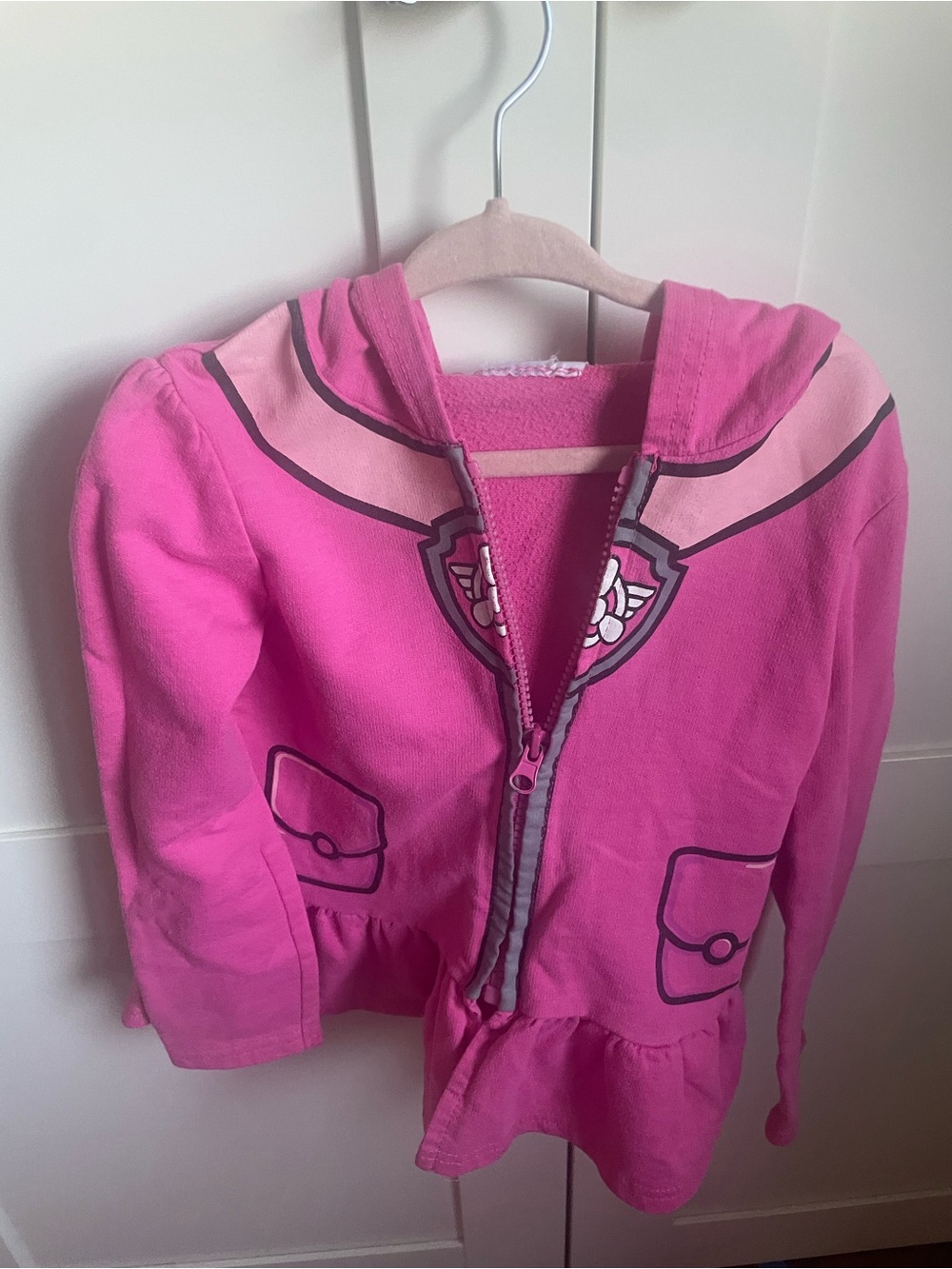 Skye paw patrol 6t hoodie